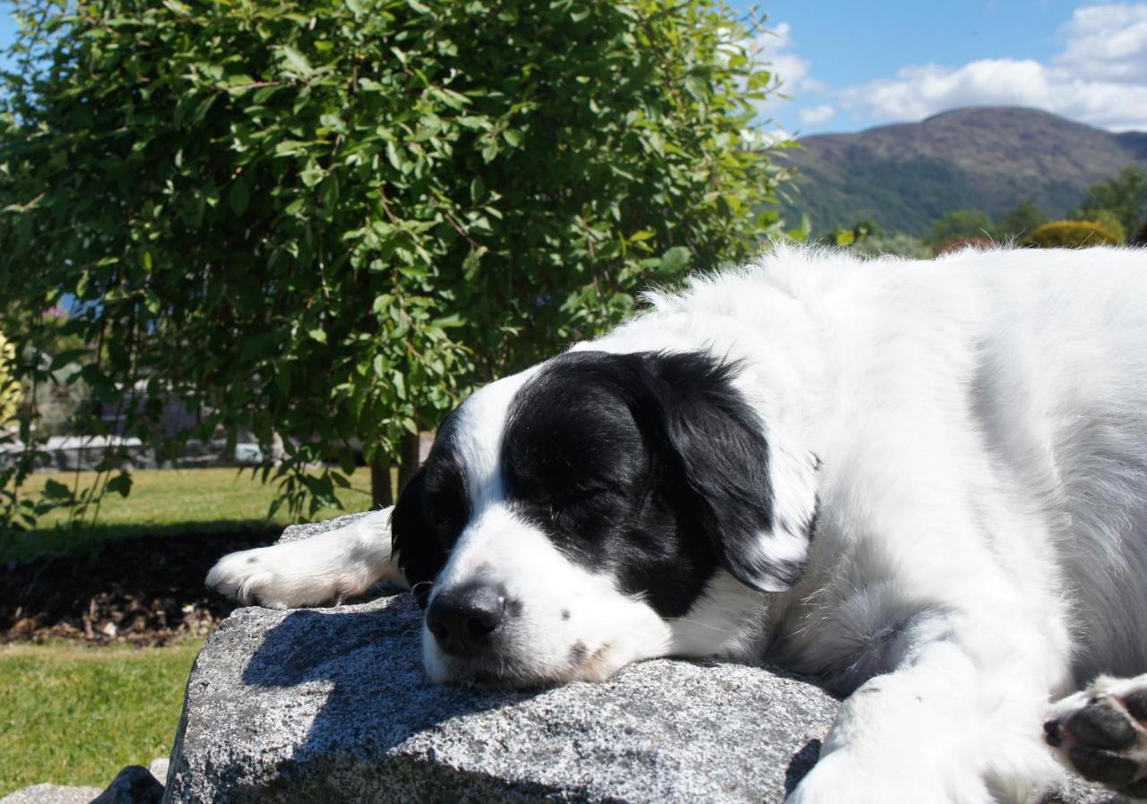 The Allanbreck Studio Glencoe Ballachulish Highlands Near Fortwilliam Kültér fotó